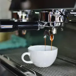 Świeżo zaparzona kawa spływa do białej filiżanki. Zastanawiasz się, czym smarować ekspres do kawy, by służył latami?
